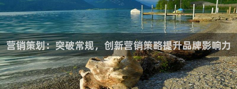 必赢72882网址