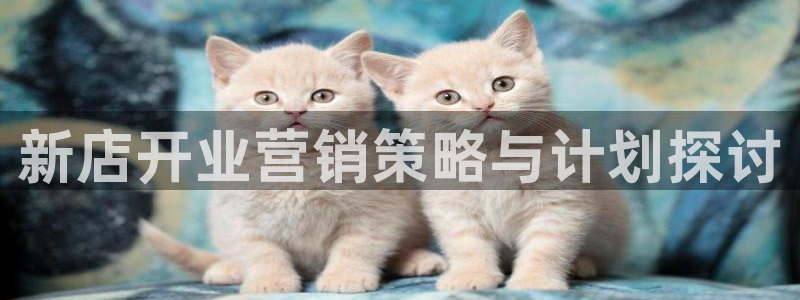 必赢下载安卓版官网