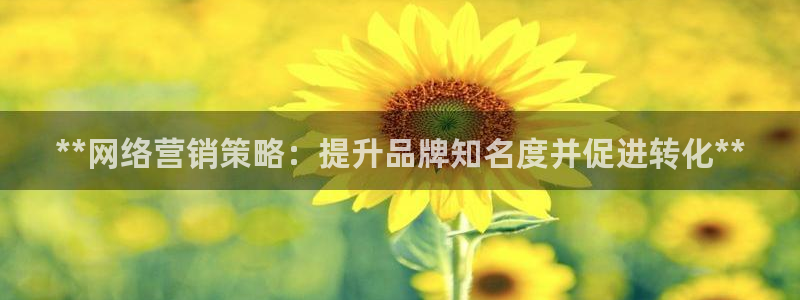 必赢官网网站首页