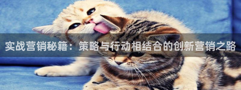 必赢手机app下载 最新版苹果