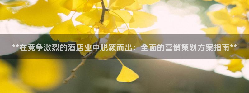 必赢国际苹果怎么下载