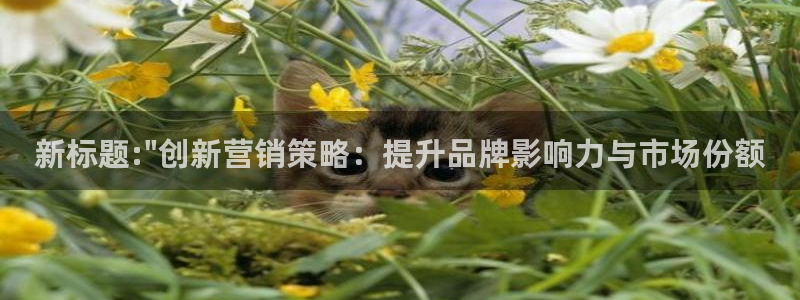 必赢官网网站首页下载