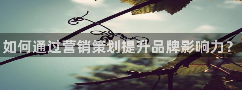437437必赢国际怎么充不了钱