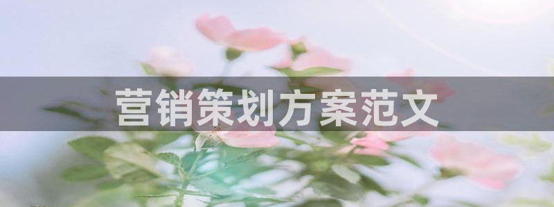 必赢app安卓版下载