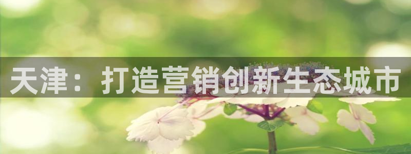 必赢437官网