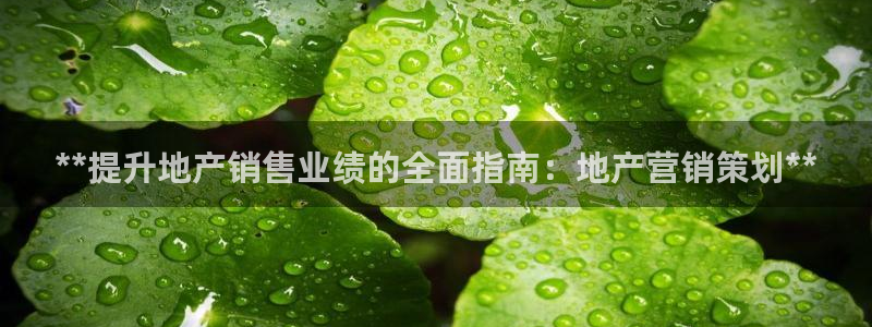 必赢网站是哪一个公司的