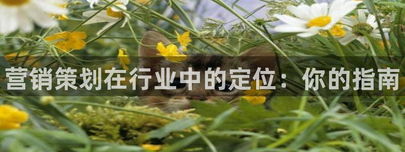 9965必赢游戏app