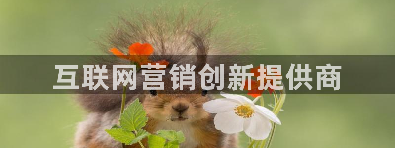 必赢516net怎么进