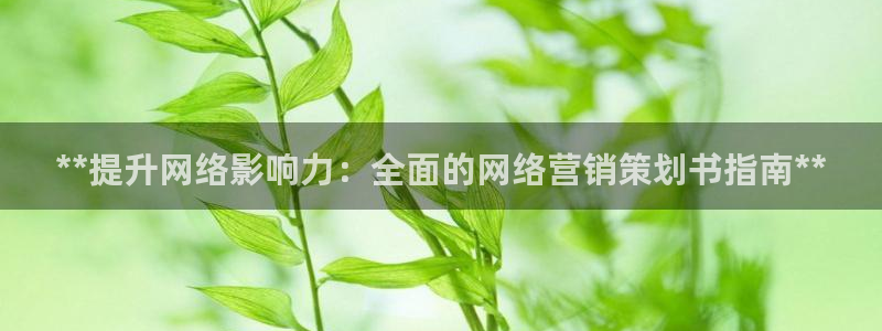 必赢公司