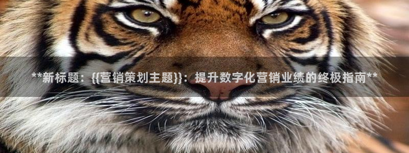 必赢国际苹果怎么下载