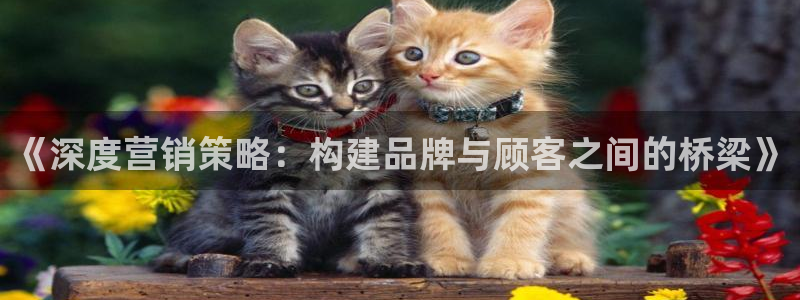 必赢手机app下载最新版安卓苹果可以用吗