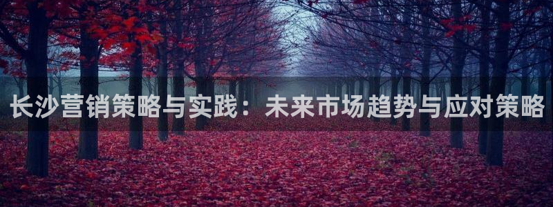 必赢网址手机主页