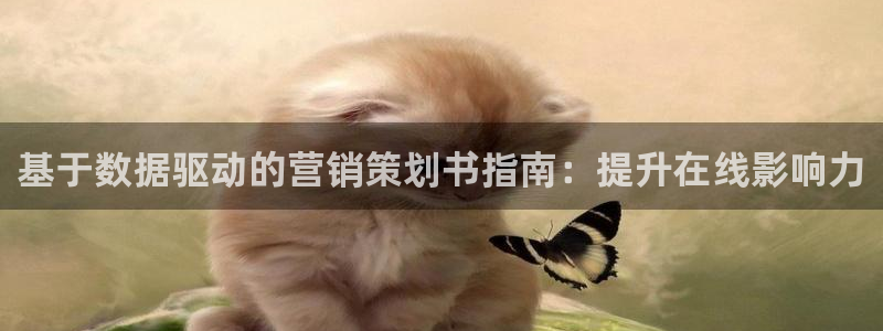 必赢国际的网站多少