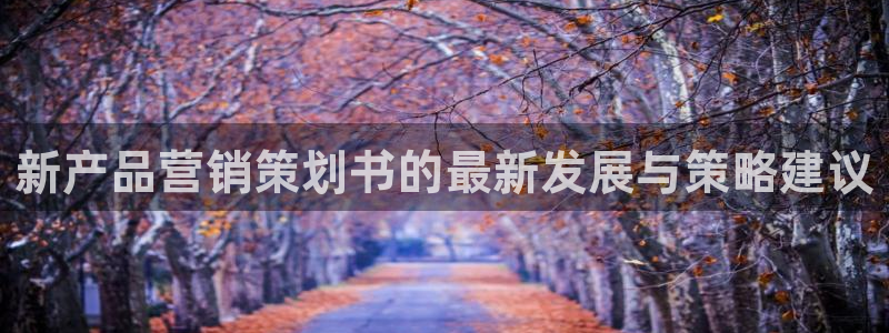 必赢集团网站是什么