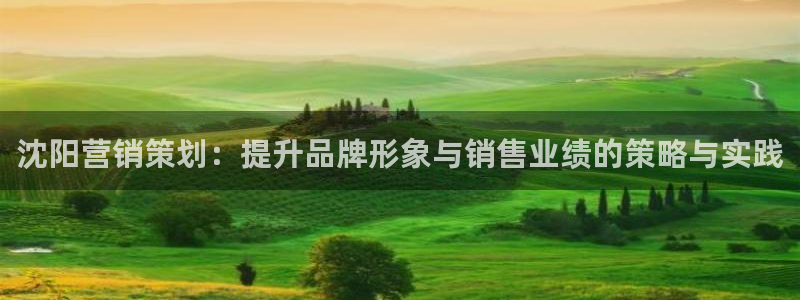 必赢网址手机主页
