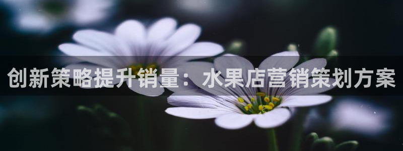 必赢国际软件下载