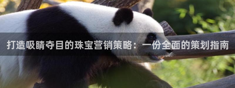 必赢官网
