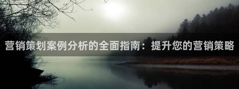 必赢网站是哪一个公司的