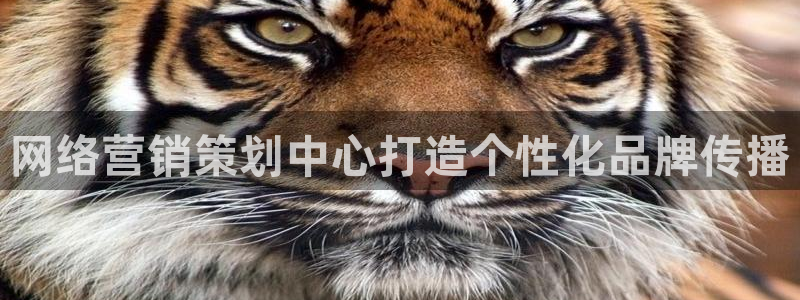 必赢国际怎么样