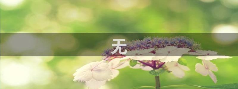 必赢官网网站首页下载
