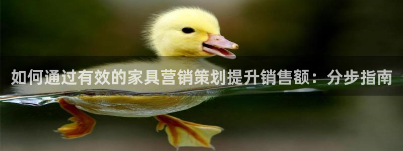 必赢下载安卓版