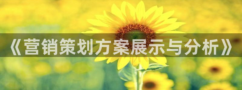 必赢888国际集团