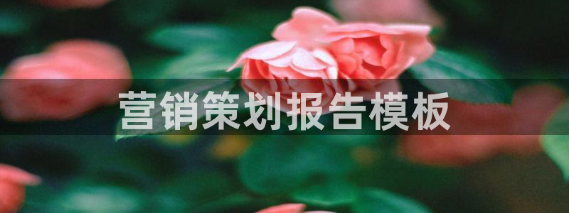 必赢官网入口下载安装