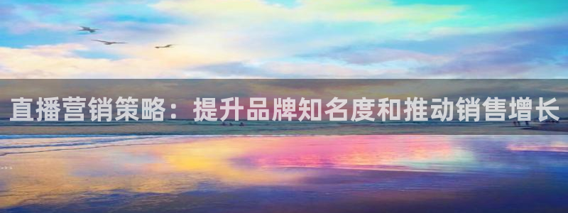必赢网怎么打不开了呀