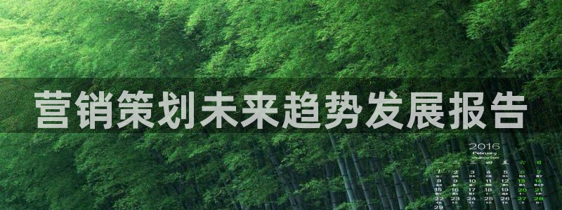 必赢766
