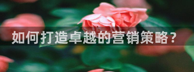 必赢国际437