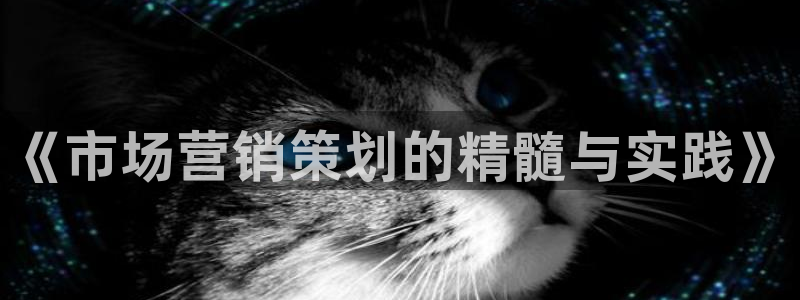 9965必赢游戏app