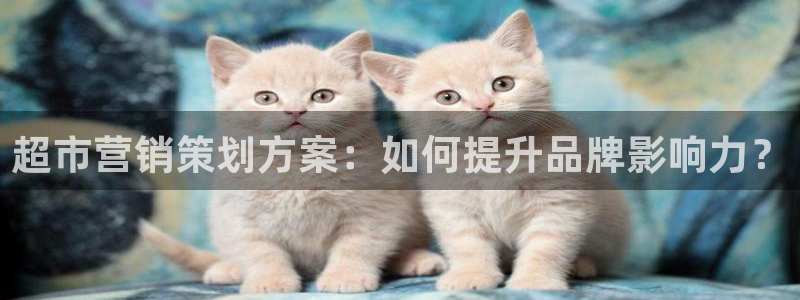 必赢手机app下载安装官网
