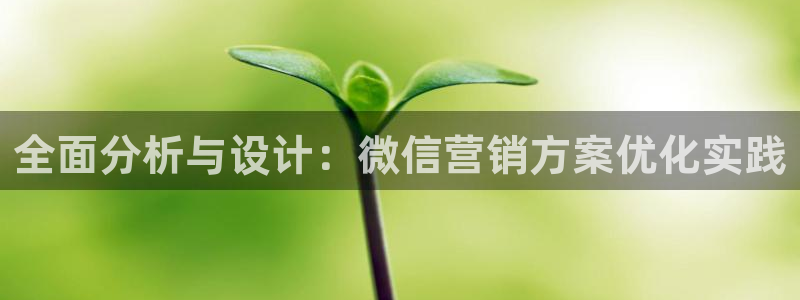 必赢app能挣钱吗