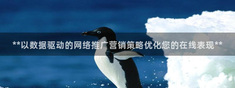 必赢网址手机主页在哪