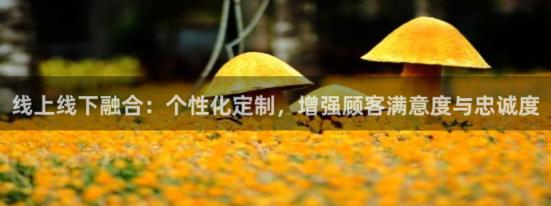 必赢抢红包网址
