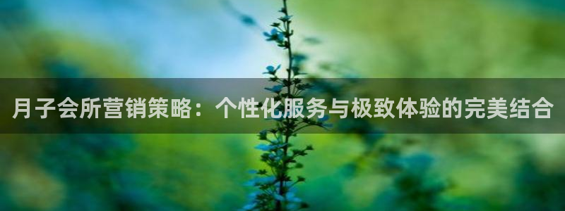 必赢官网app下载安装手机版