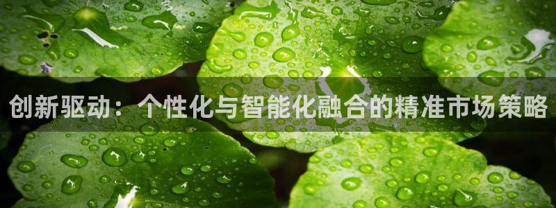 必赢亚赢网站官网下载安装