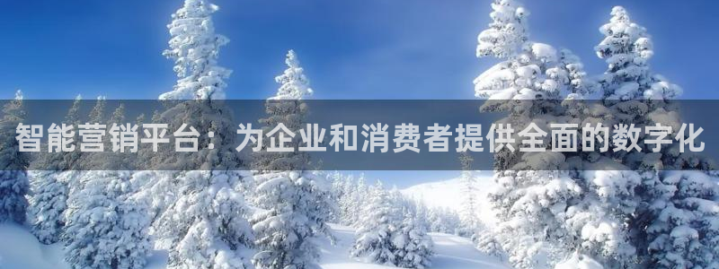 必赢国际软件下载