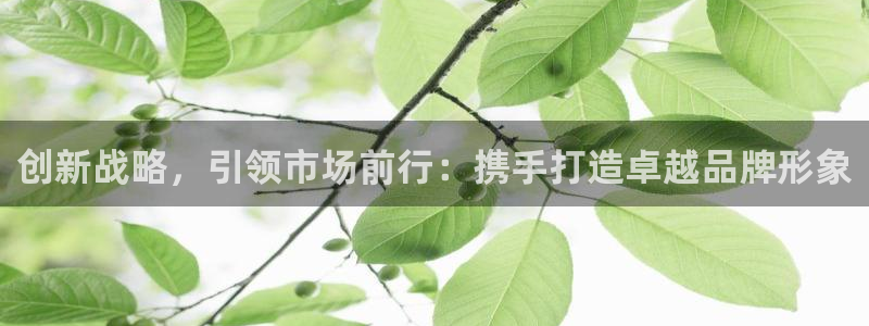必赢客官方