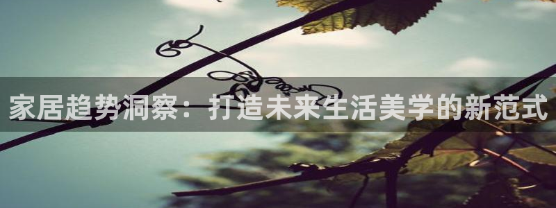 必赢国际的网站多少