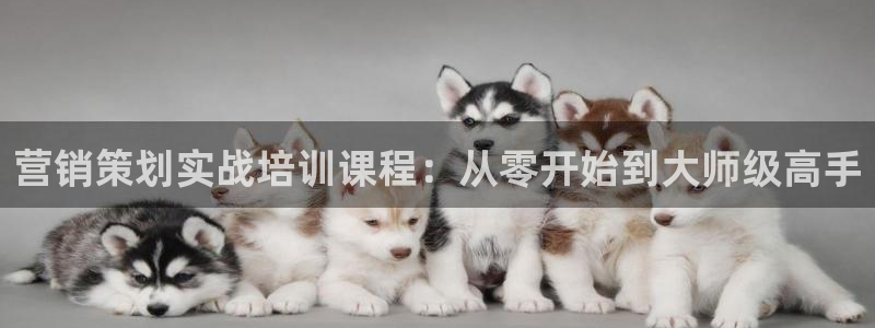 必赢集团网站首页