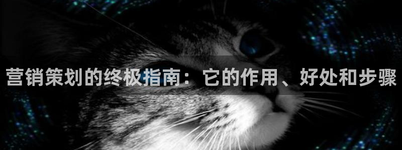 必赢棋盘9965.0版本
