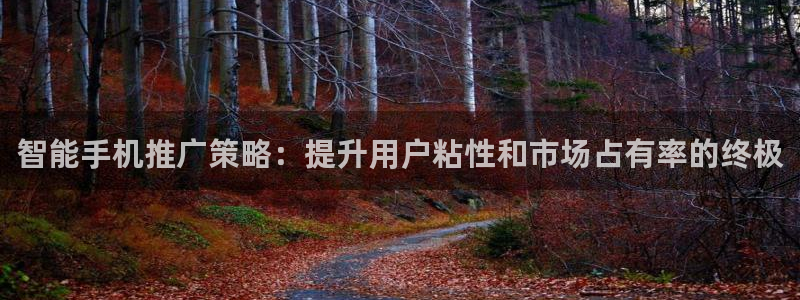 必赢565net官网