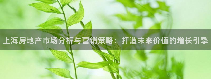 必赢最新