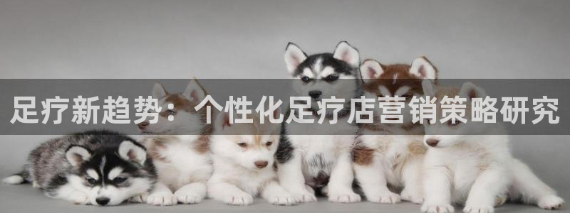 必赢官网入口下载安装