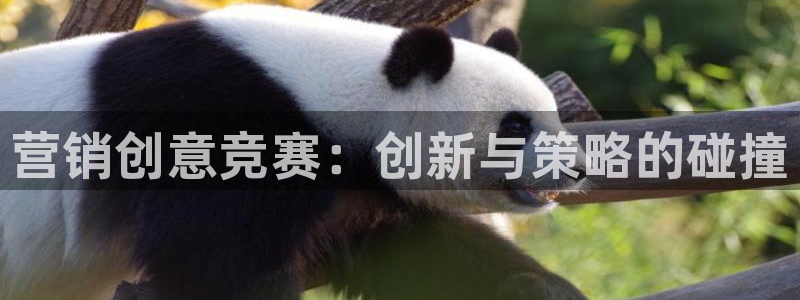 必赢437官网：营销创意竞赛：