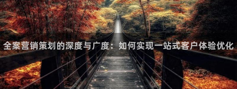 必赢网站进去：全案营销策划的深