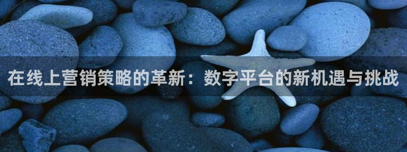 必赢网站进去