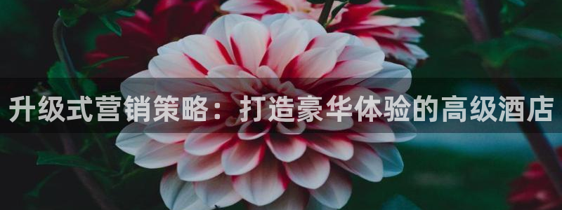 9965必赢游戏特色：升级式营