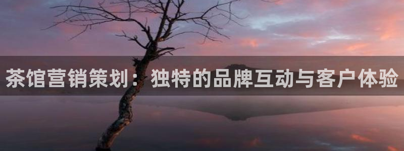 必赢抢红包网址：茶馆营销策划：